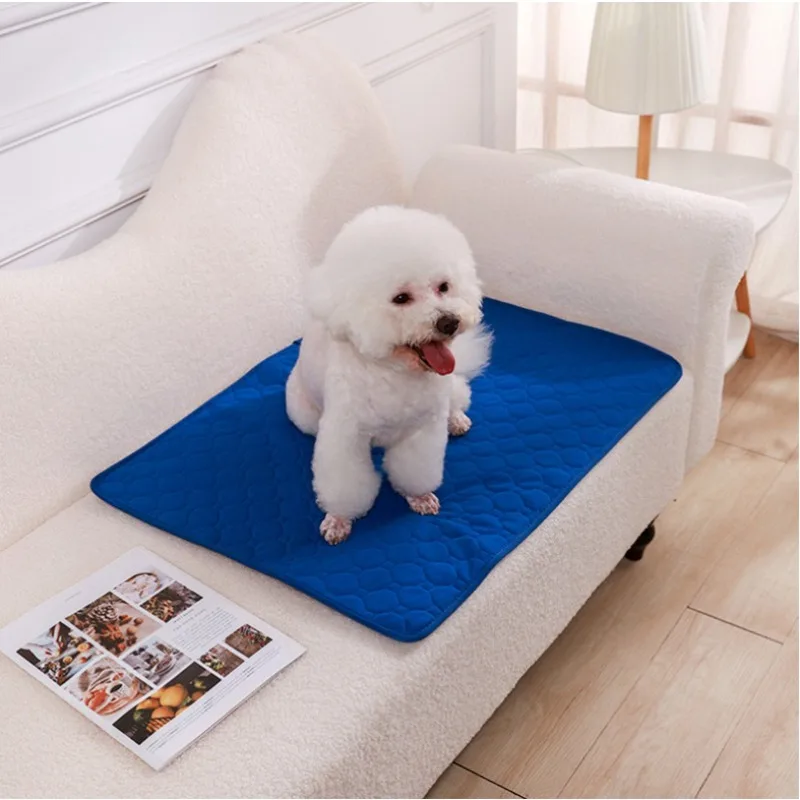 Reusable Dog Pee Pad Blanket A - Cloth Diaper Insert ulasan dan harga
