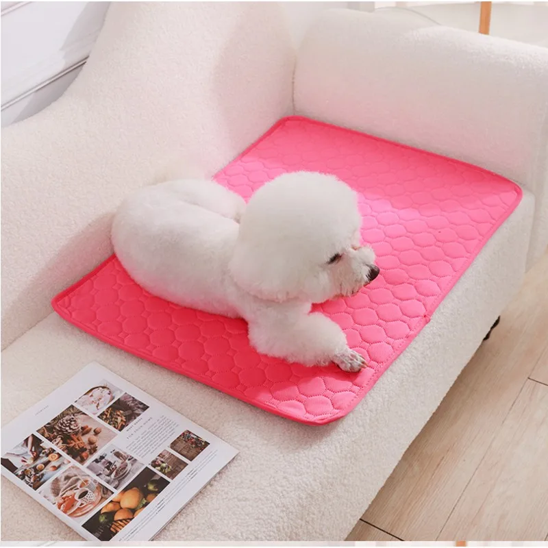 Reusable Dog Pee Pad Blanket A - Cloth Diaper Insert ulasan dan harga