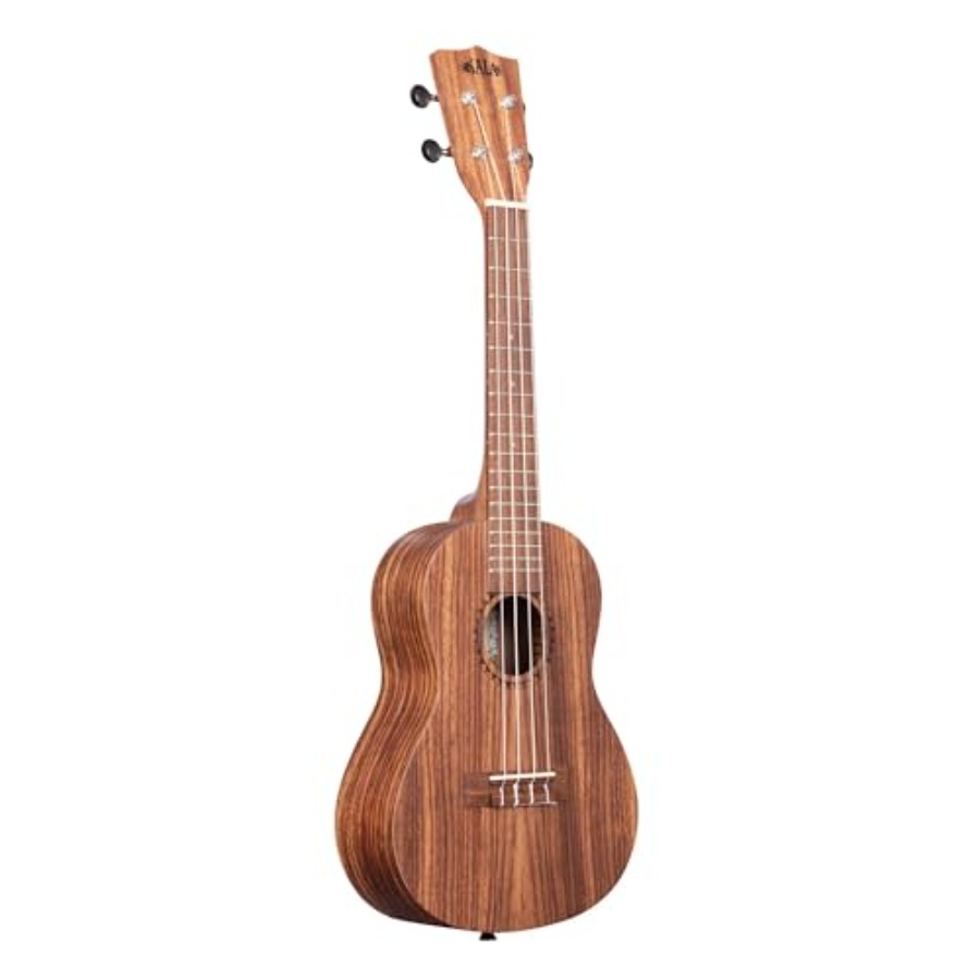 Concert ukulele for live perfo - Sustainable Living Is ulasan dan harga